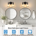 black-bathroom-vanity-light-2-lights-bat-4.jpg