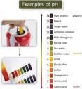 3-pack-ph1-14-test-paper-extensive-test--6.jpg