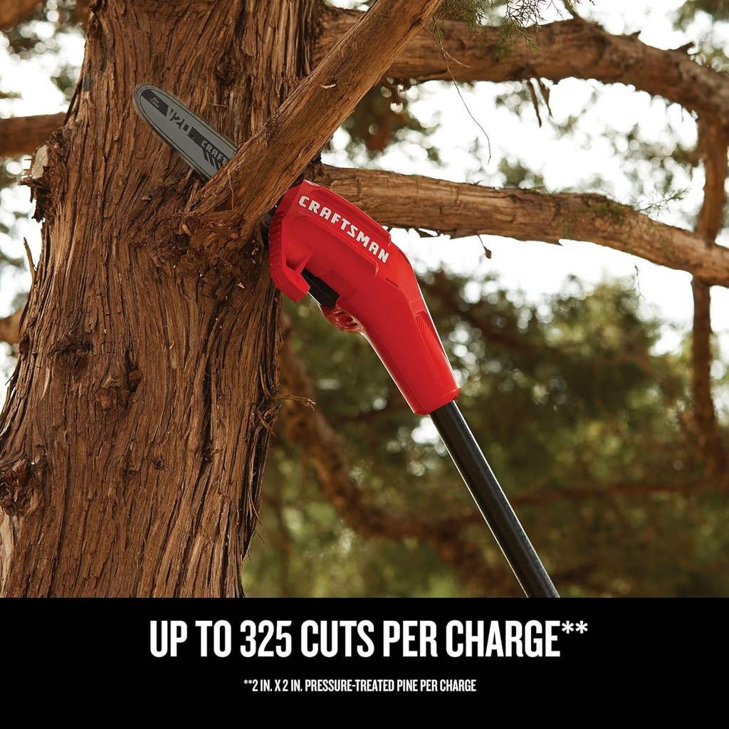 craftsman-pole-saw-pole-saws-for-tree-tr-4.jpg