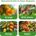 fruit-picker-pole-with-basket-telescopin-6.jpg
