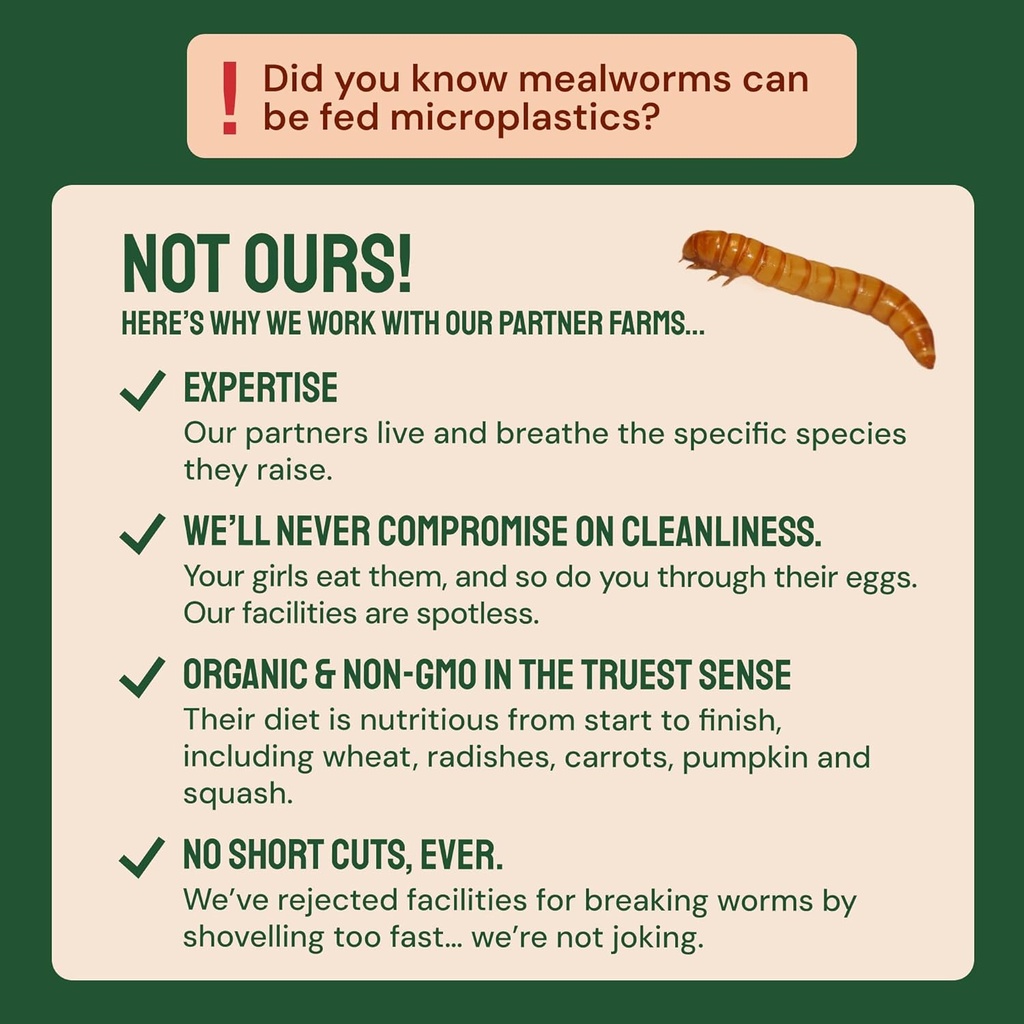 hatortempt-chicken-feed-dried-mealworms--5.jpg