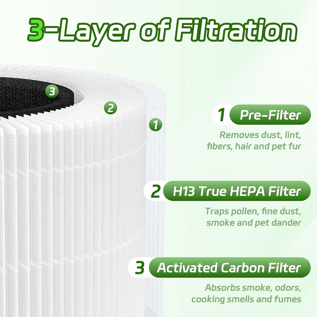 core-300-replacement-filter-2-pack-h13-g-3.jpg