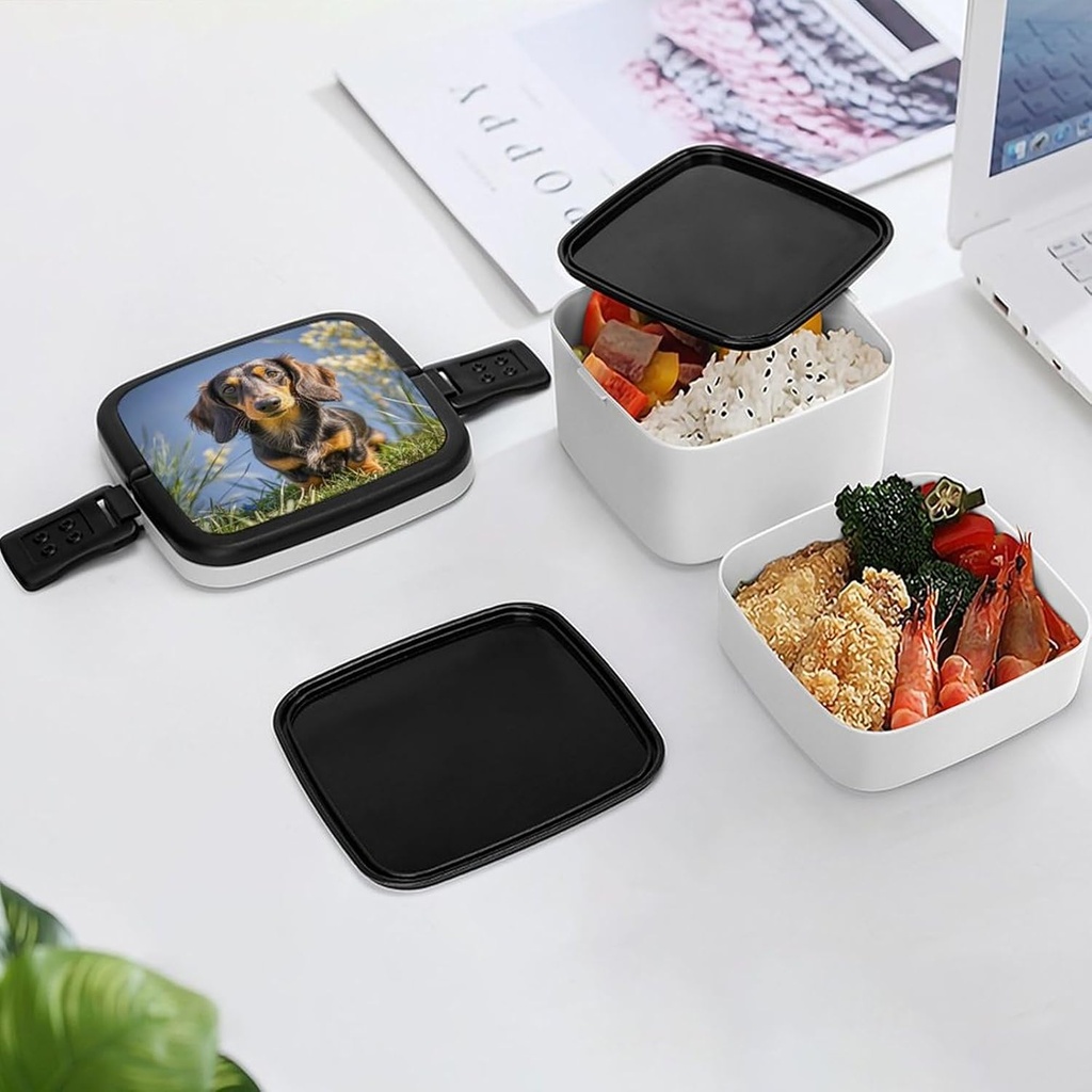 pad-dachshund-bento-box-double-layer-ben-6.jpg