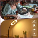 10x-magnifying-glass-with-light-and-stan-6.jpg