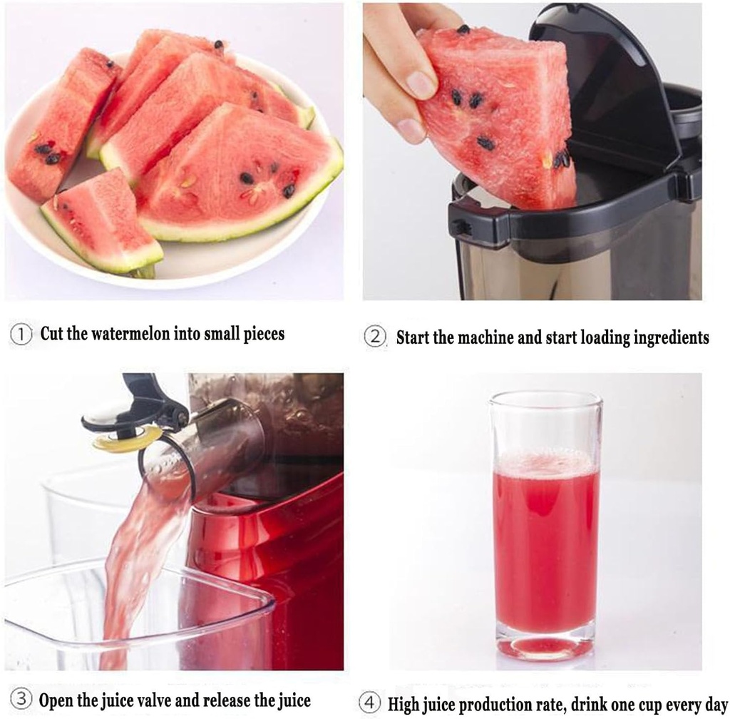 vertical-slow-masticating-pure-juicer-co-4.jpg