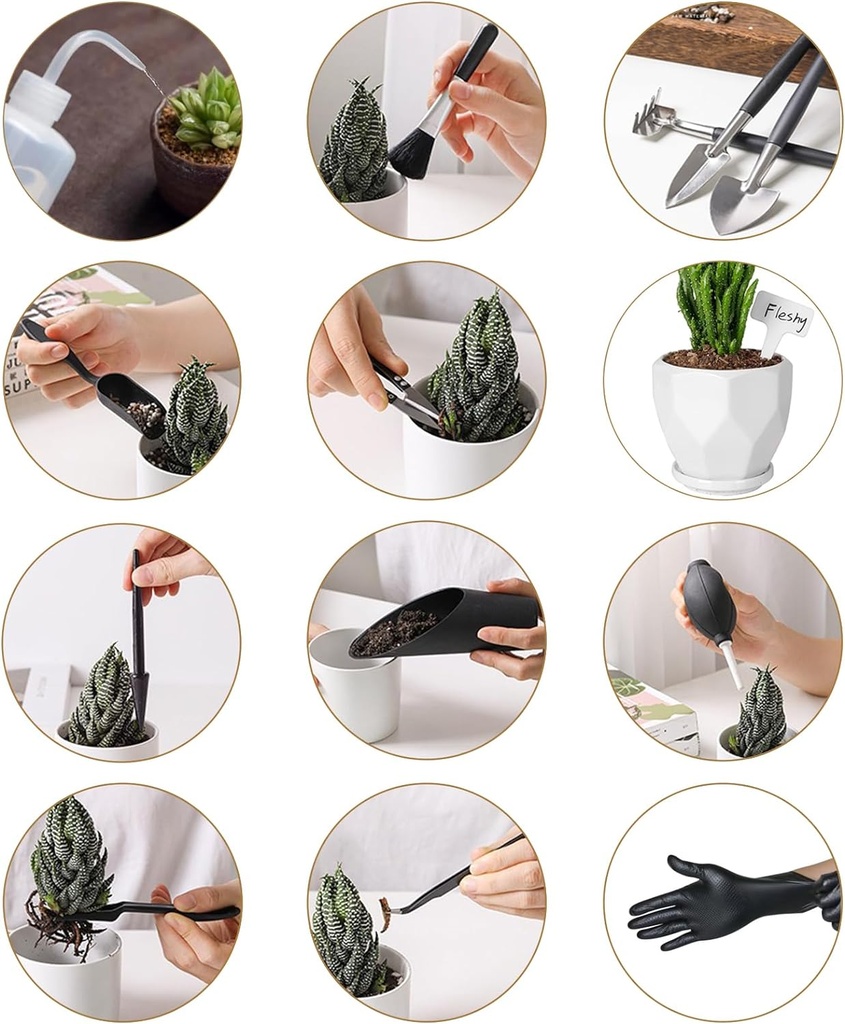 melphoe-25pcs-mini-garden-hand-transplan-2.jpg