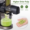 juicer-machineslow-masticating-juicer-wi-3.jpg