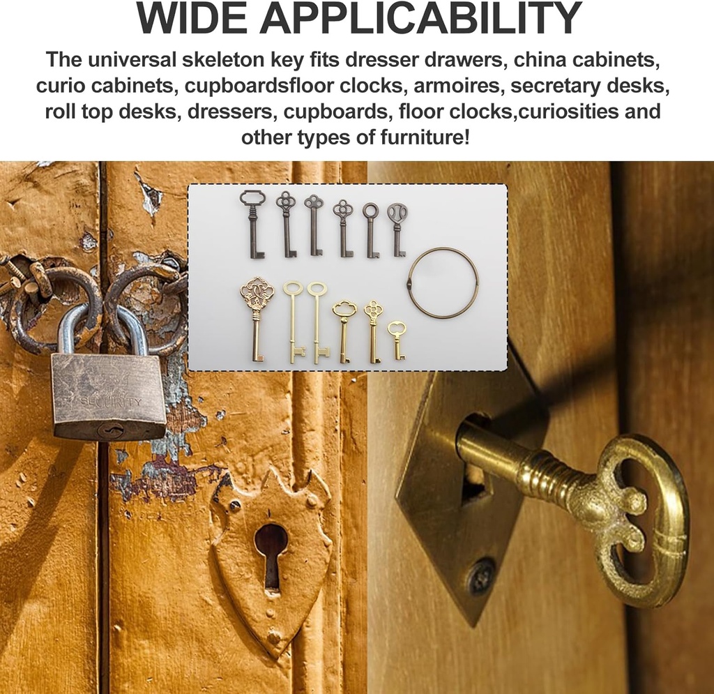 skeleton-key-setuniversal-skeleton-repla-3.jpg