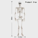 36-halloween-skeleton-decorationshuman-b-3.jpg