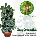 4-pack-22-inch-moss-poles-stackable-moss-5.jpg