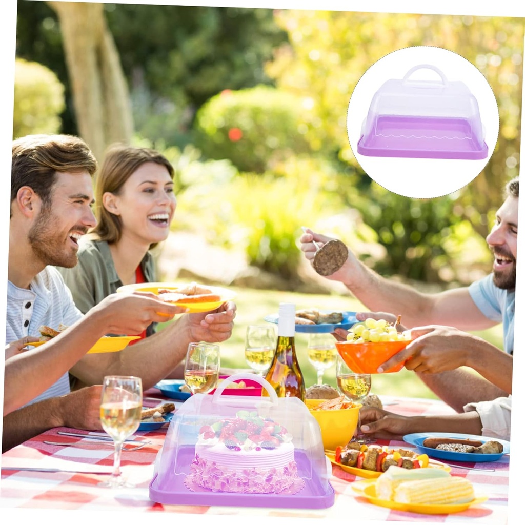 plastic-cake-boxes-for-birthday-cake-con-5.jpg