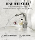 elegant-alien-brushed-nickel-bathroom-si-3.jpg