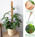 2-pack-moss-pole-268-inch-moss-poles-for-5.jpg