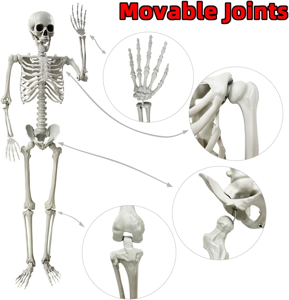 wocst-54ft165cm-halloween-skeleton-full--4.jpg