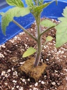 10qt-organic-perlite-horticultural-soil--6.jpg