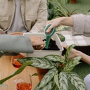 txin-2-pieces-seed-spreader-handheld-see-5.jpg