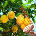 walensee-13ft-fruit-picker-adjustable-fr-6.jpg