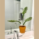 2pcs-mirror-monstera---bathroom-organize-6.jpg