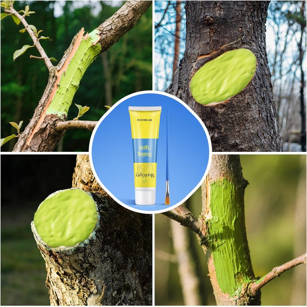tree-wound-pruning-sealer-bonsai-wound-s-6.jpg
