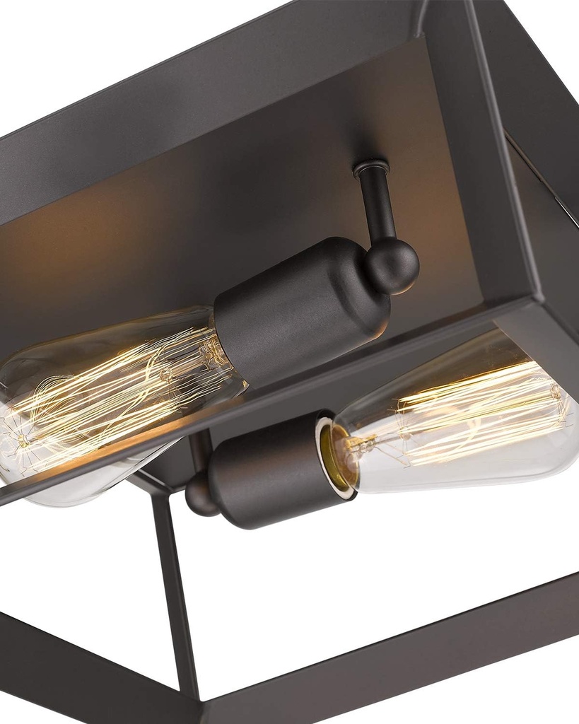 emliviar-2-light-ceiling-light-12-flush--2.jpg