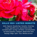 bioadvanced-rose-and-flower-insect-kille-2.jpg