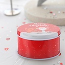 angoily-christmas-tinplate-empty-tin-12p-6.jpg