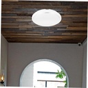 ceiling-fixture-shade-for-home-plastic-l-5.jpg