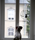 black-cat-decor-on-white-moon-stained-gl-5.jpg