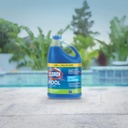 clorox-poolspaTM-swimming-pool-crazy-cla-6.jpg