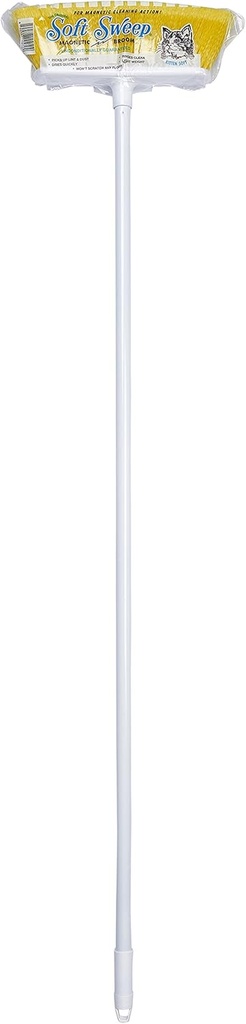 the-original-soft-sweep-magnetic-action--2.jpg
