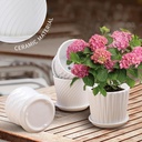 plant-pots---55-inch-cylinder-ceramic-pl-6.jpg