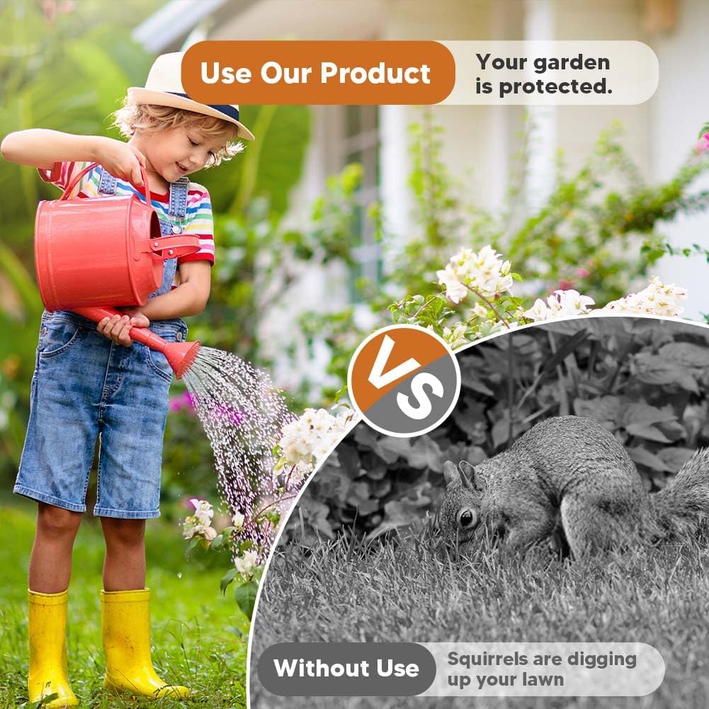 squirrel-repellent-keep-squirrels-out-of-3.jpg