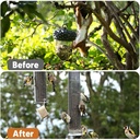 squirrel-repellent-keep-squirrels-out-of-5.jpg