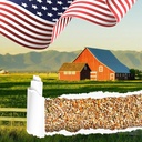 seed-vault-heirloom-vegetable-seeds-plan-5.jpg