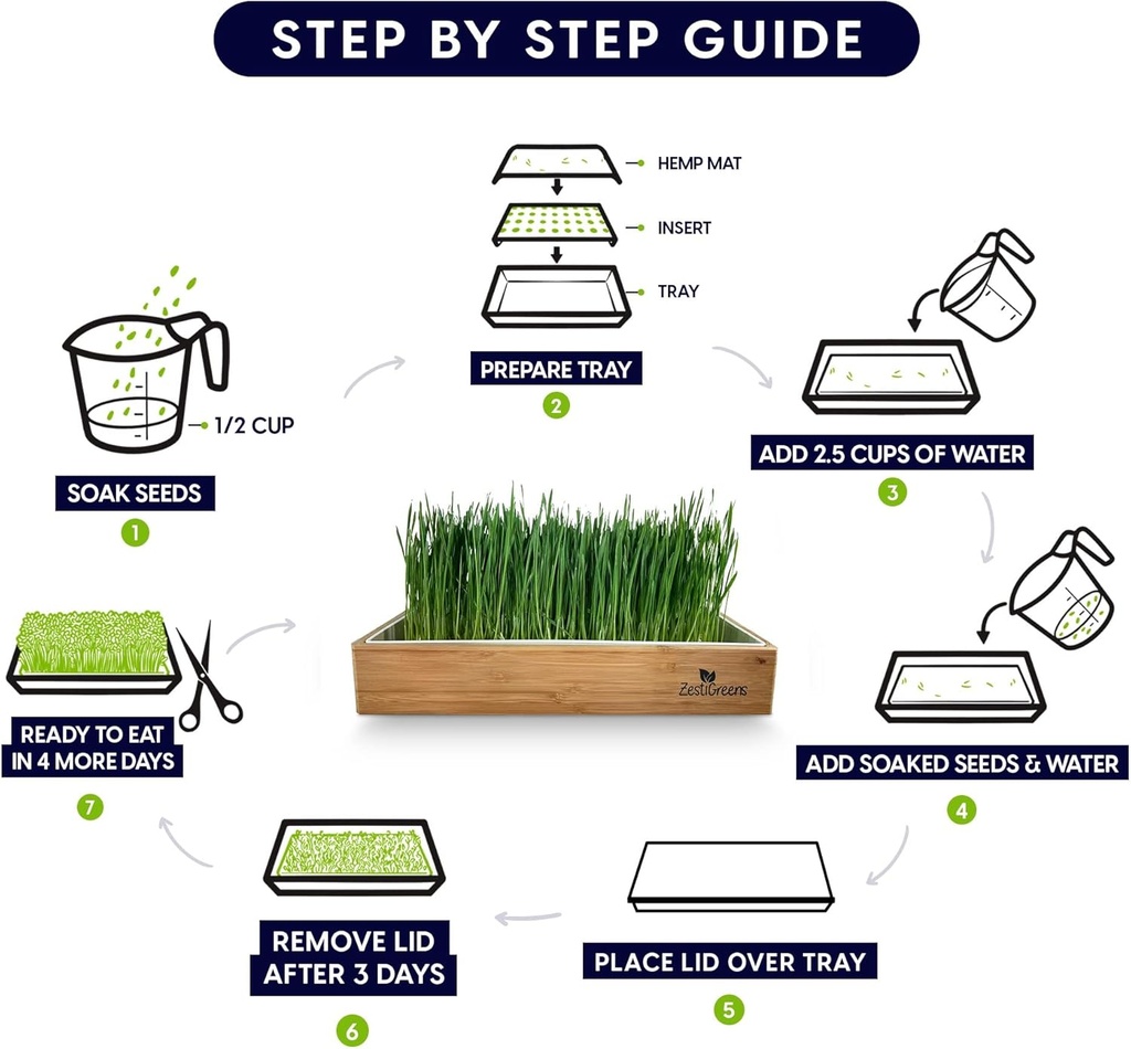self-watering-cat-grass-kit-hands-down-t-3.jpg