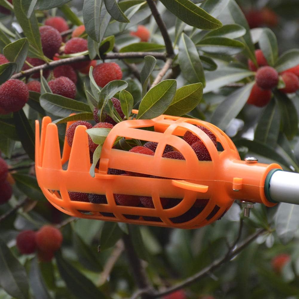 pilarmuture-fruit-picker-basket-head-1pc-6.jpg