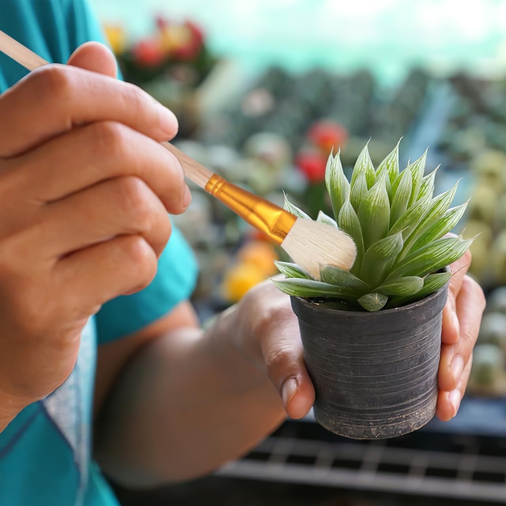 yardwe-8pcs-pollination-brush-set-manual-4.jpg
