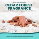 cedar-blocks-for-clothes-storage-closets-5.jpg