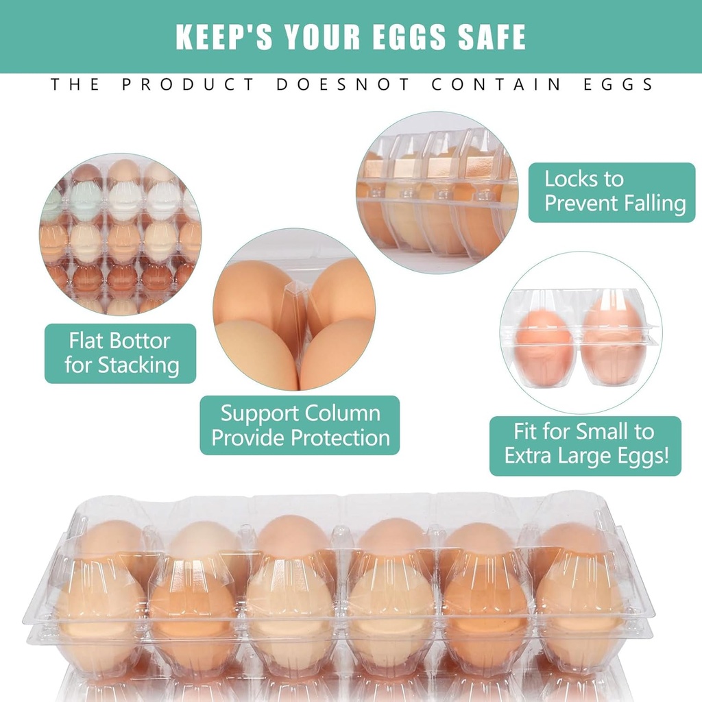 60-packs-12-count-clear-egg-cartons-2-6--4.jpg