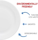 hygloss-products-paper-plates---uncoated-4.jpg