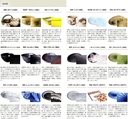 multi-purpose-bowl-black-cosmetic-35-dee-4.jpg