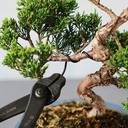 wazakura-150-gr-black-anodized-aluminum--5.jpg