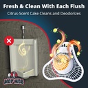 long-lasting-urinal-screen-and-deodorize-4.jpg