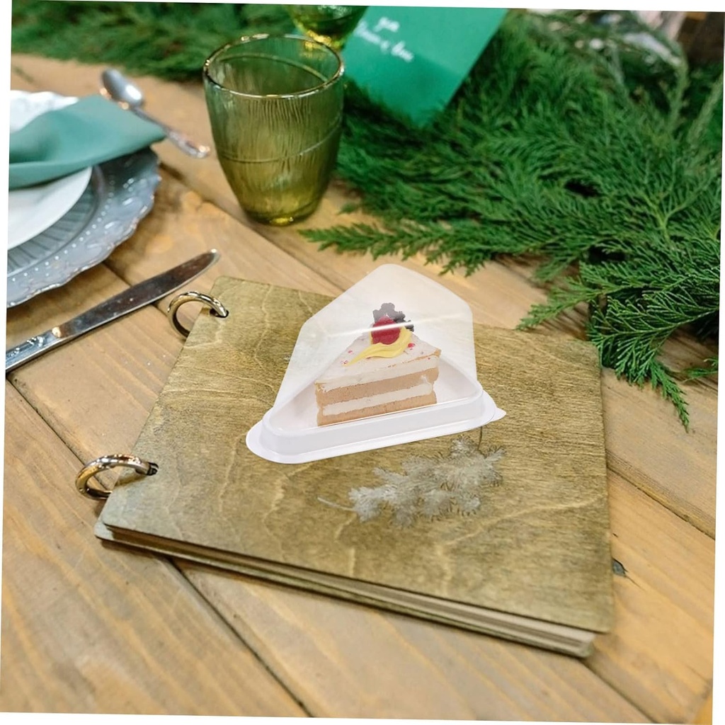 triangle-cake-slice-containers-pack-cake-4.jpg