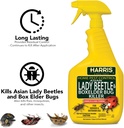 harris-asian-lady-beetle-and-box-elder-k-3.jpg