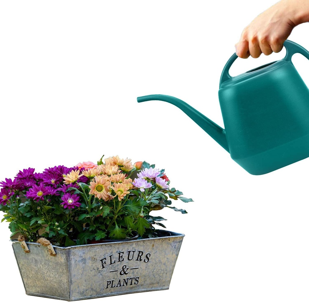 fasmov-plastic-watering-can-1-gallon-gre-4.jpg