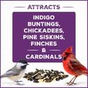 pennington-pride-songbird-nut-fruit-blen-3.jpg
