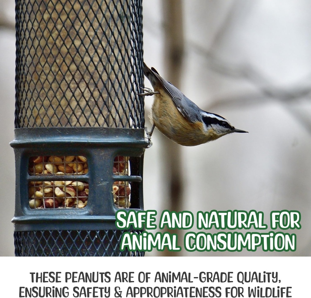 premium-quality-raw-peanuts-in-shell---1-5.jpg