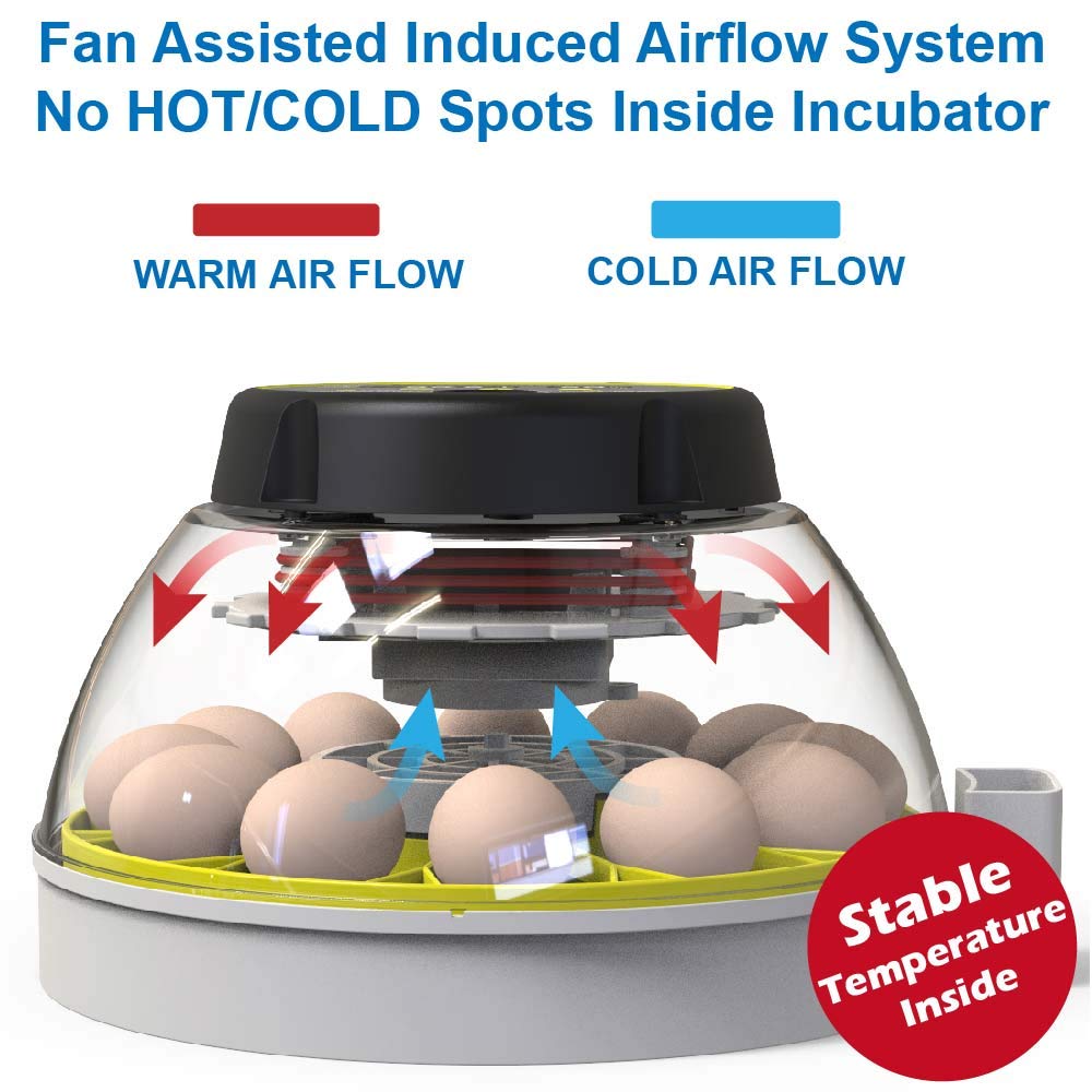12-egg-incubator-with-humidity-display-e-2.jpg