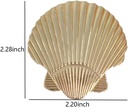 6-pcs-seashell-cabinet-knobs-ocean-theme-2.jpg